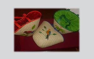 Sac vage en satrana